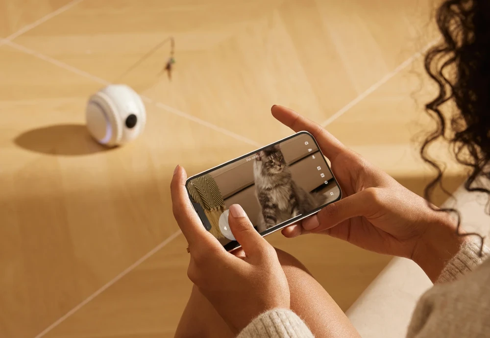 what is the best pet camera