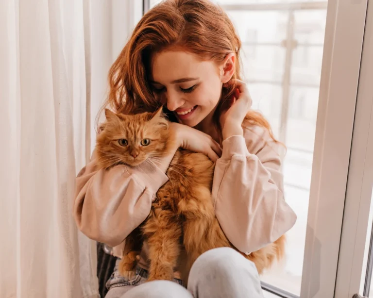 pet safe automatic feeder